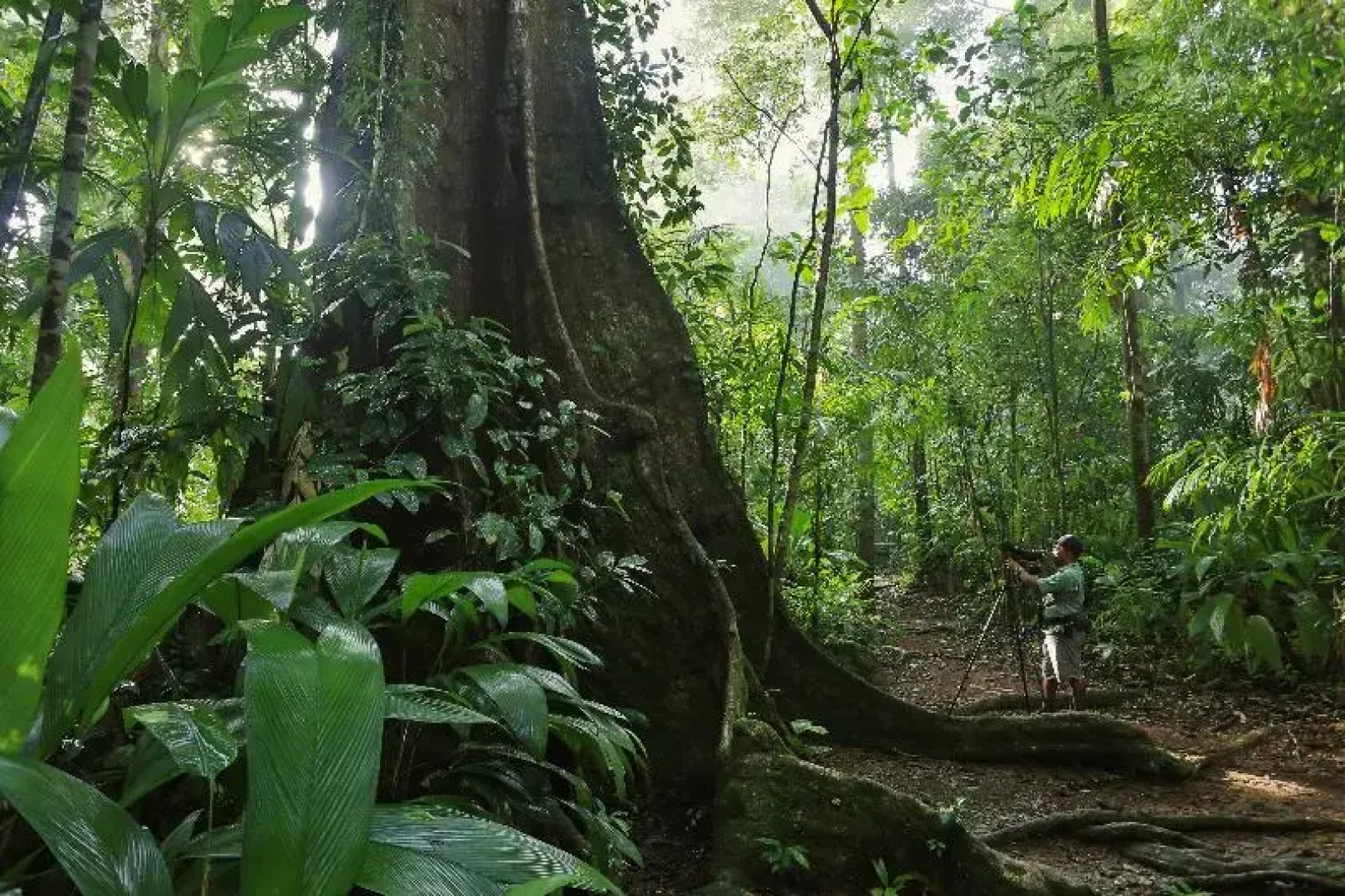 Corcovado Wilderness Lodge by Scp