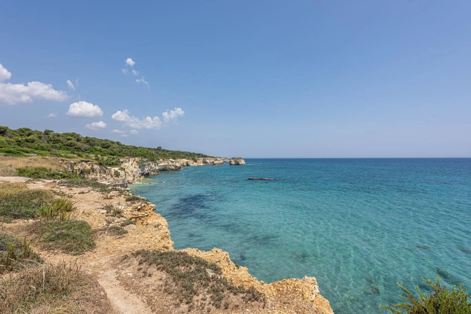 VOI Daniela Essentia