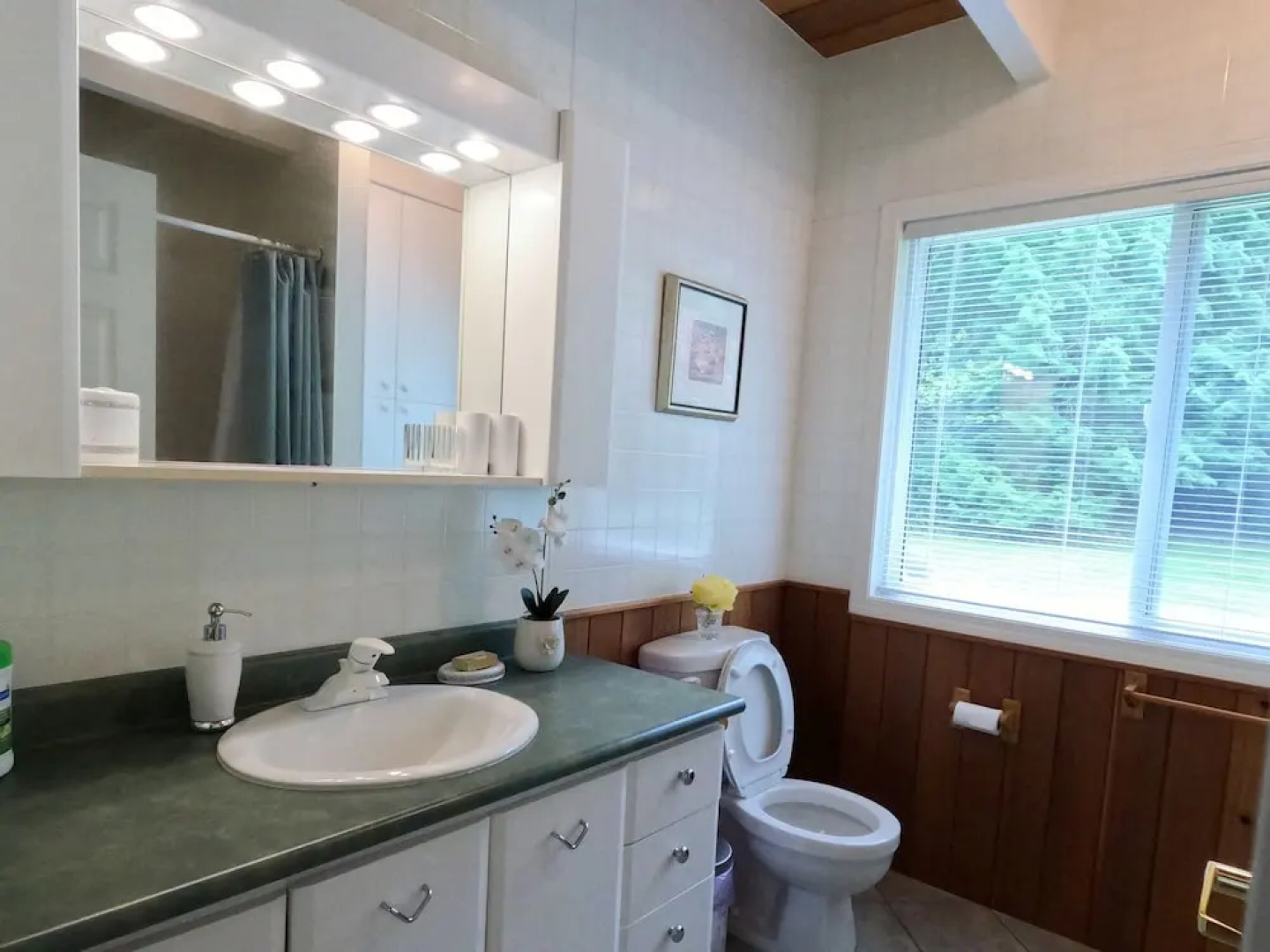 Sea La Vie Rare Peaceful Hidden Gem