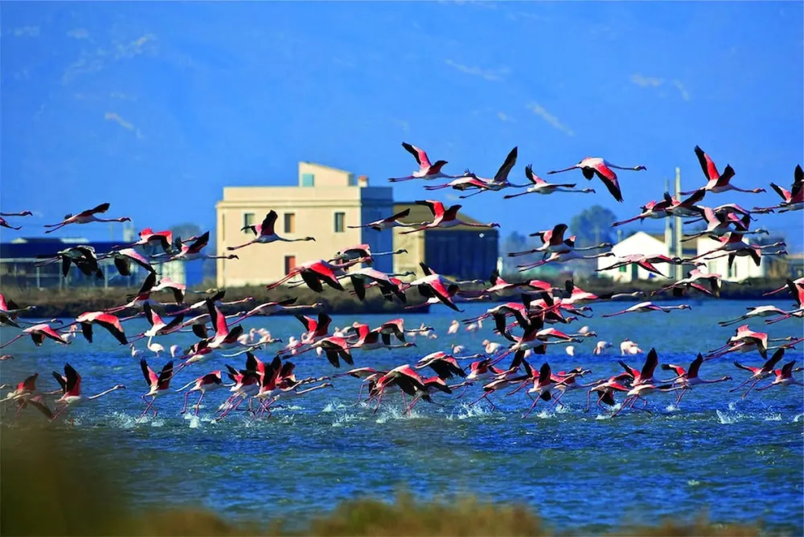 Mi Apartamento en el Delta del Ebro+