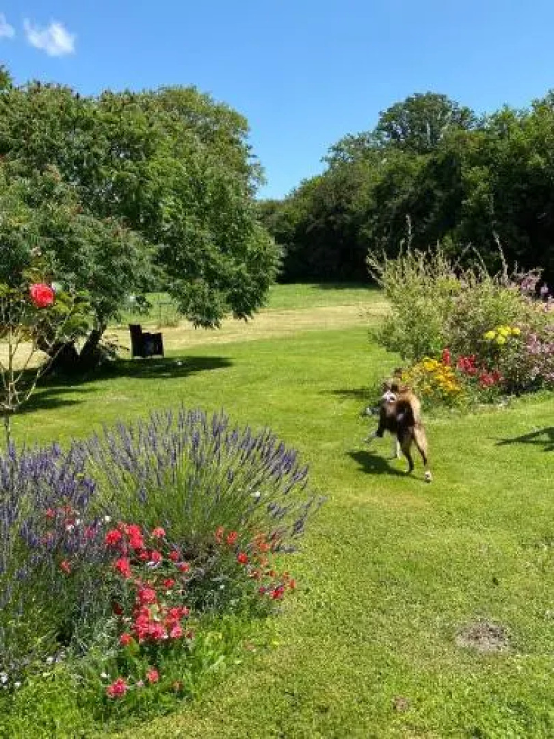 B&B Les Eaux De La Petite Fontaine