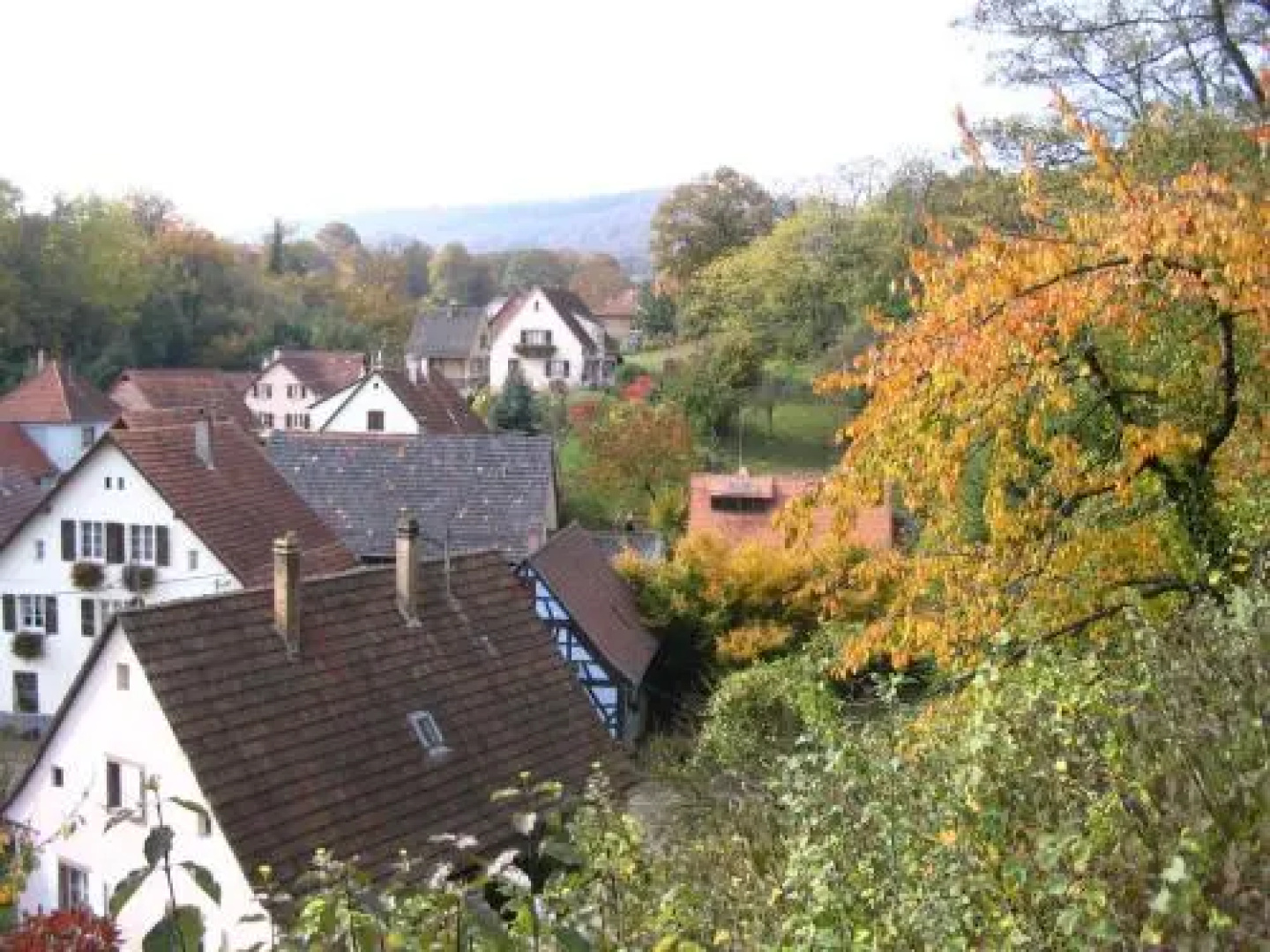 Gîte LAlsace à Coeurs