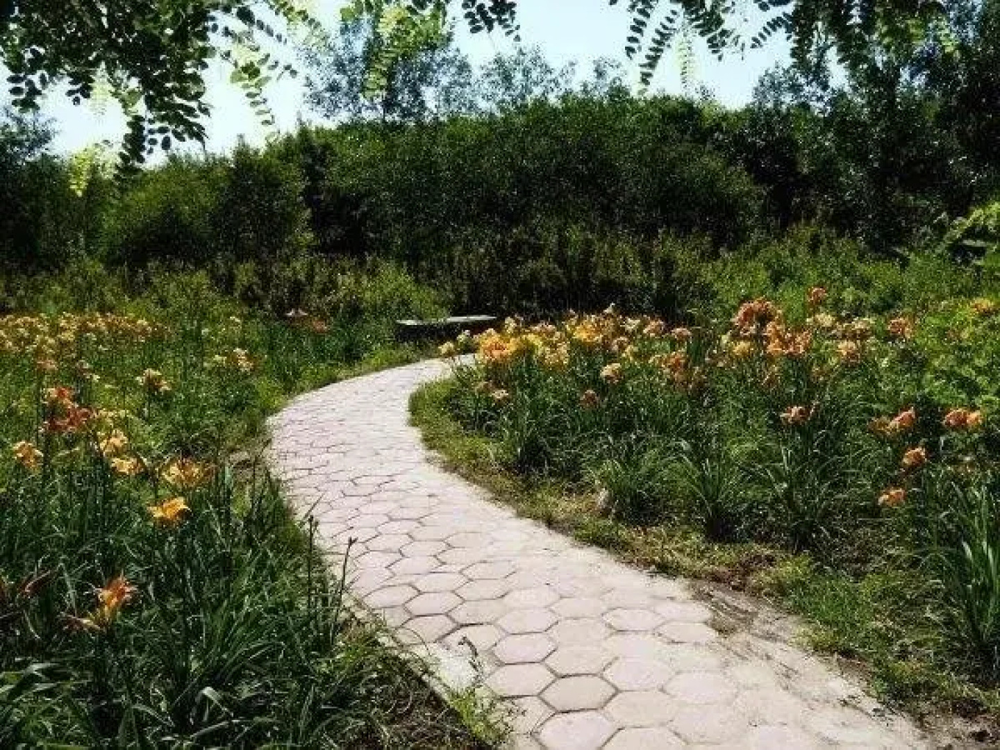 Tarim Petroleum Hotel