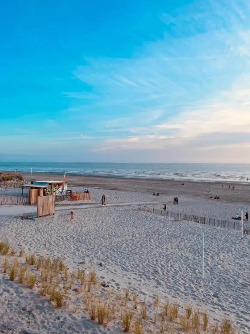 Cosy Appartement vue mer