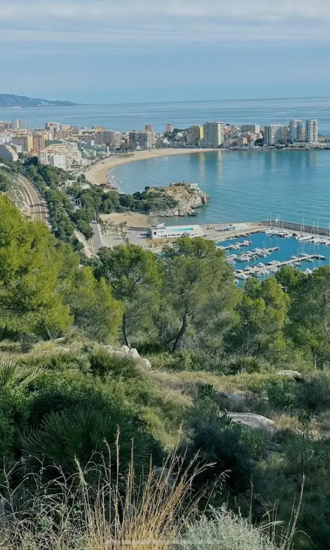 World Magic Vacaciones 5