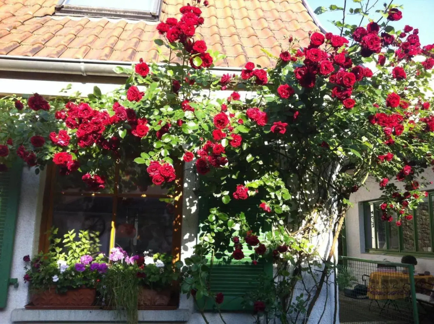 Sommer 81 - bed & breakfast