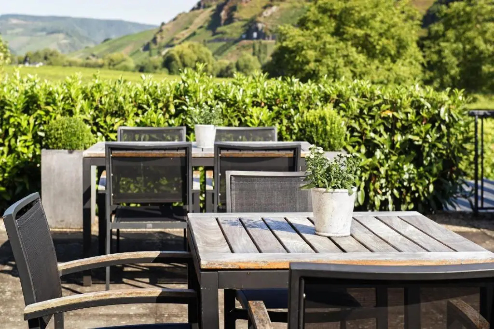 Weingut & Gästehaus Christoph Clüsserath