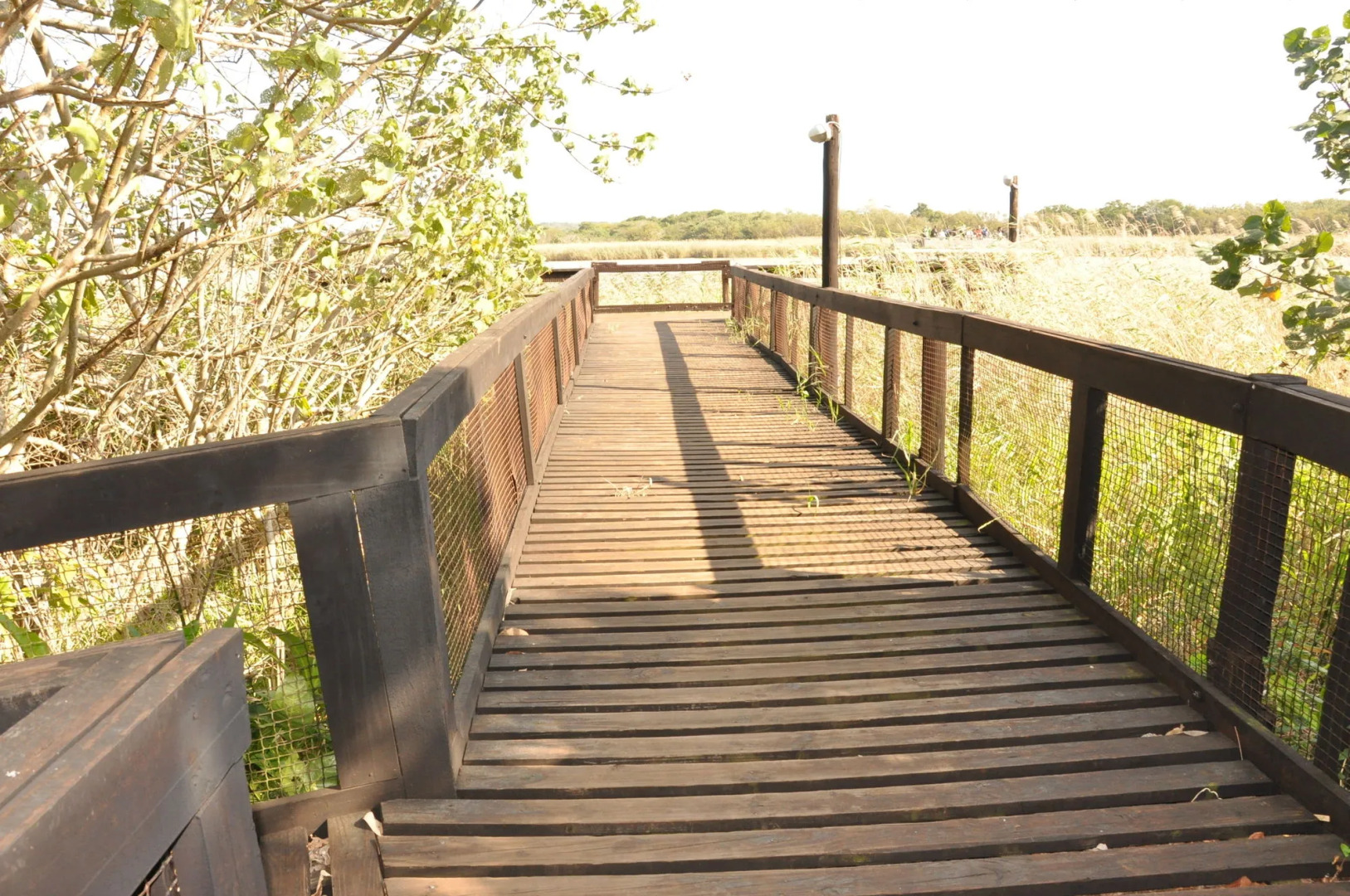 The Bridge Apartments