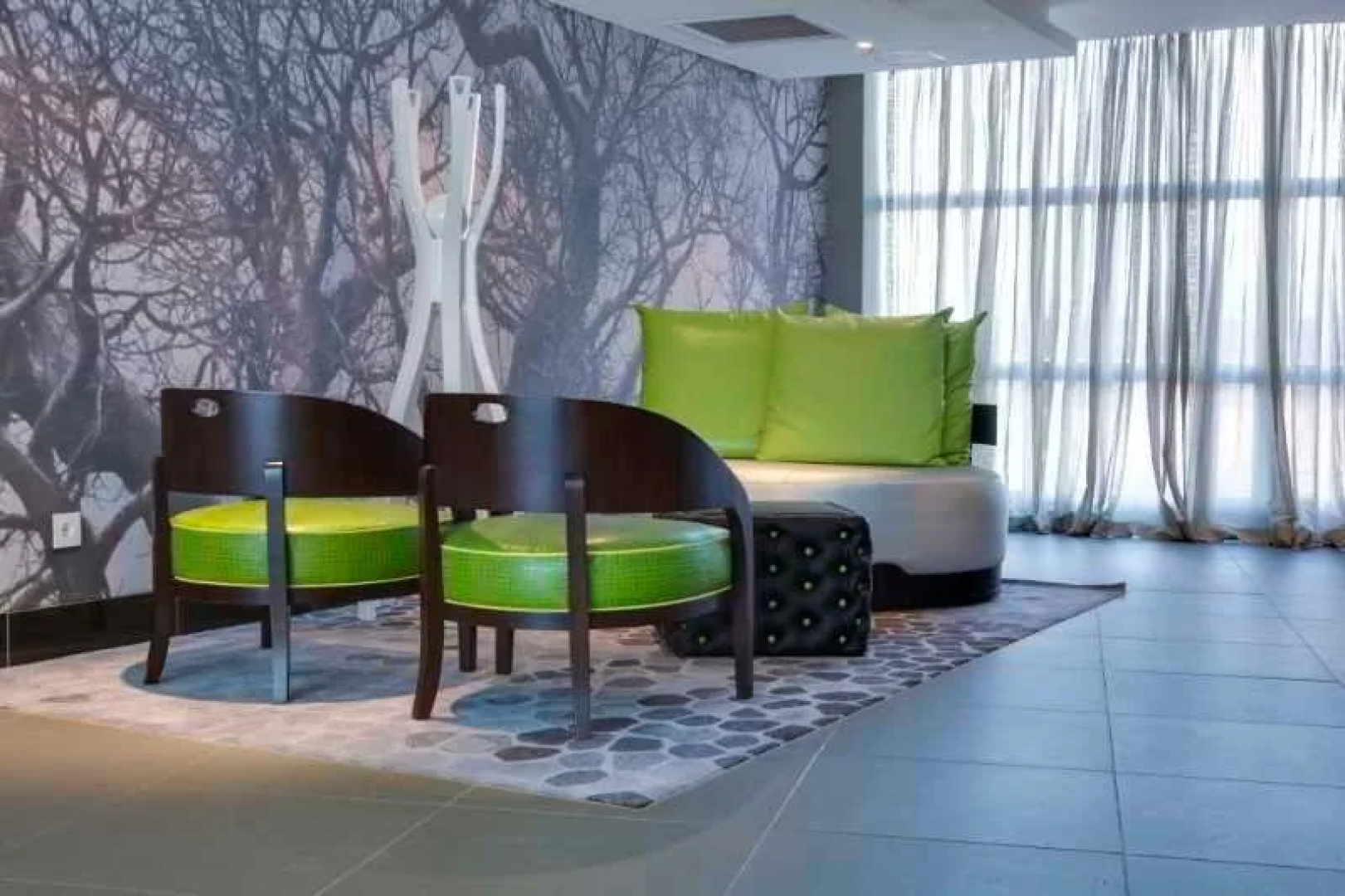 The VIP Executive Baobab