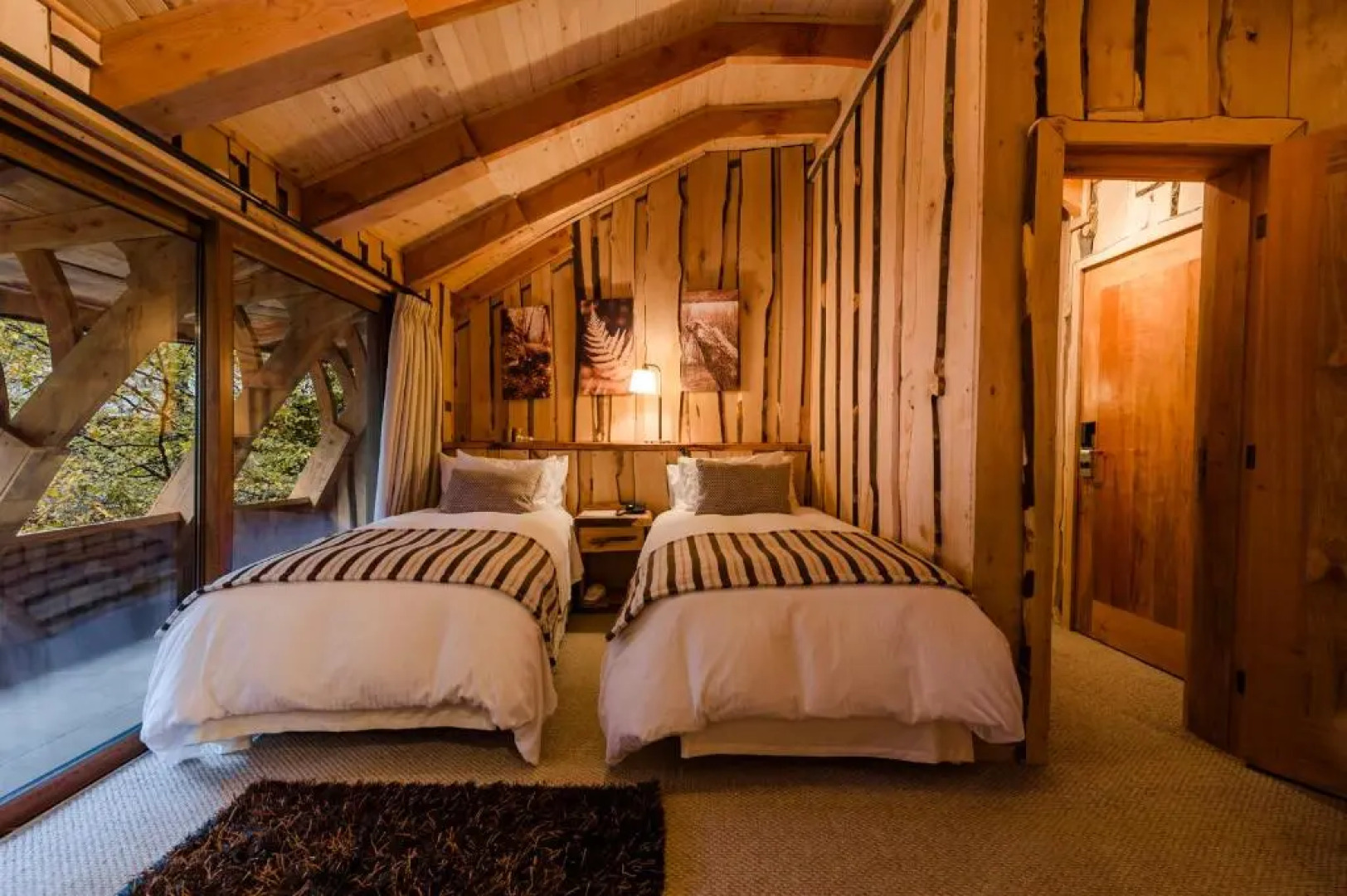 Huilo Huilo Reino Fungi