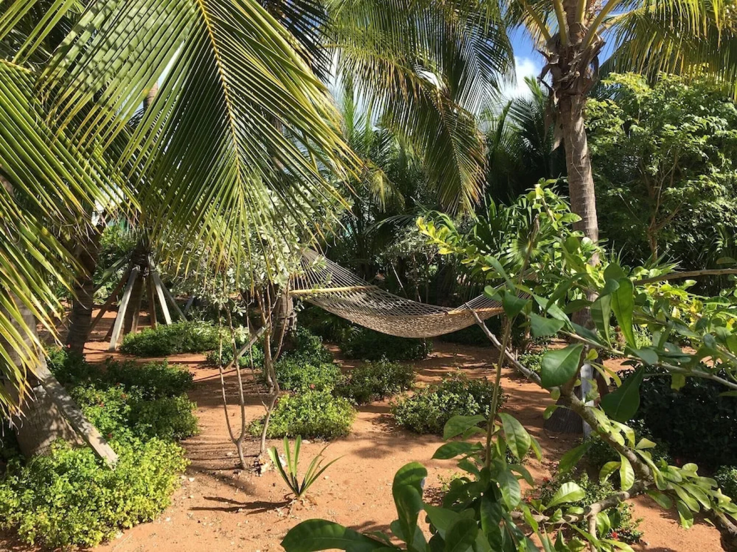 Spanish Wells Yacht Haven