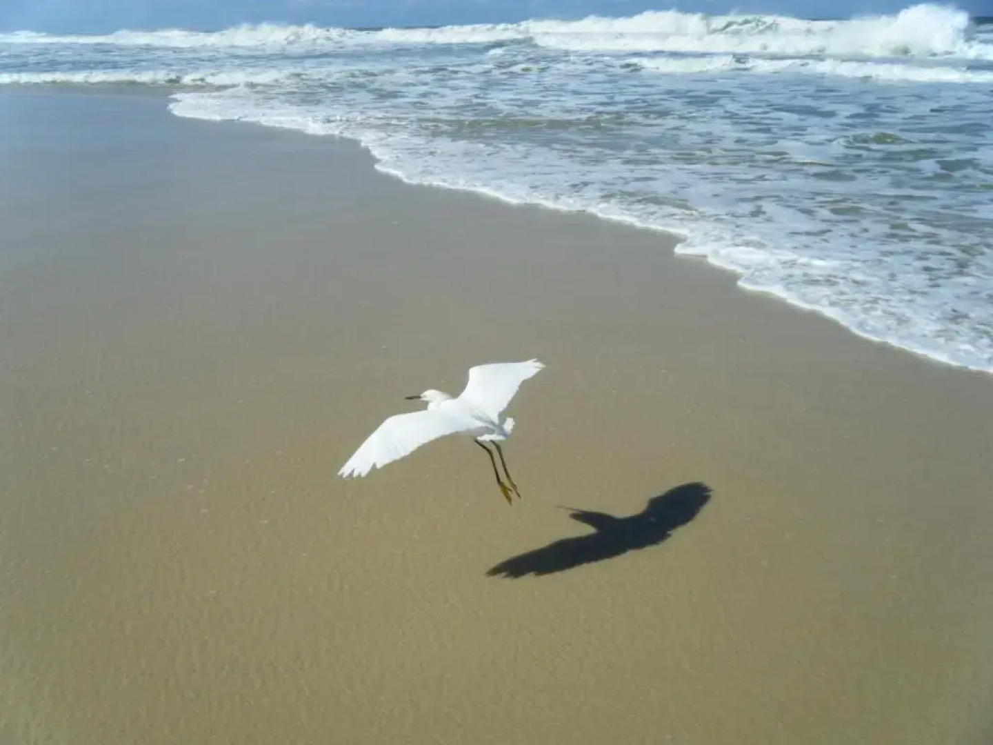 Pousada das Casuarinas