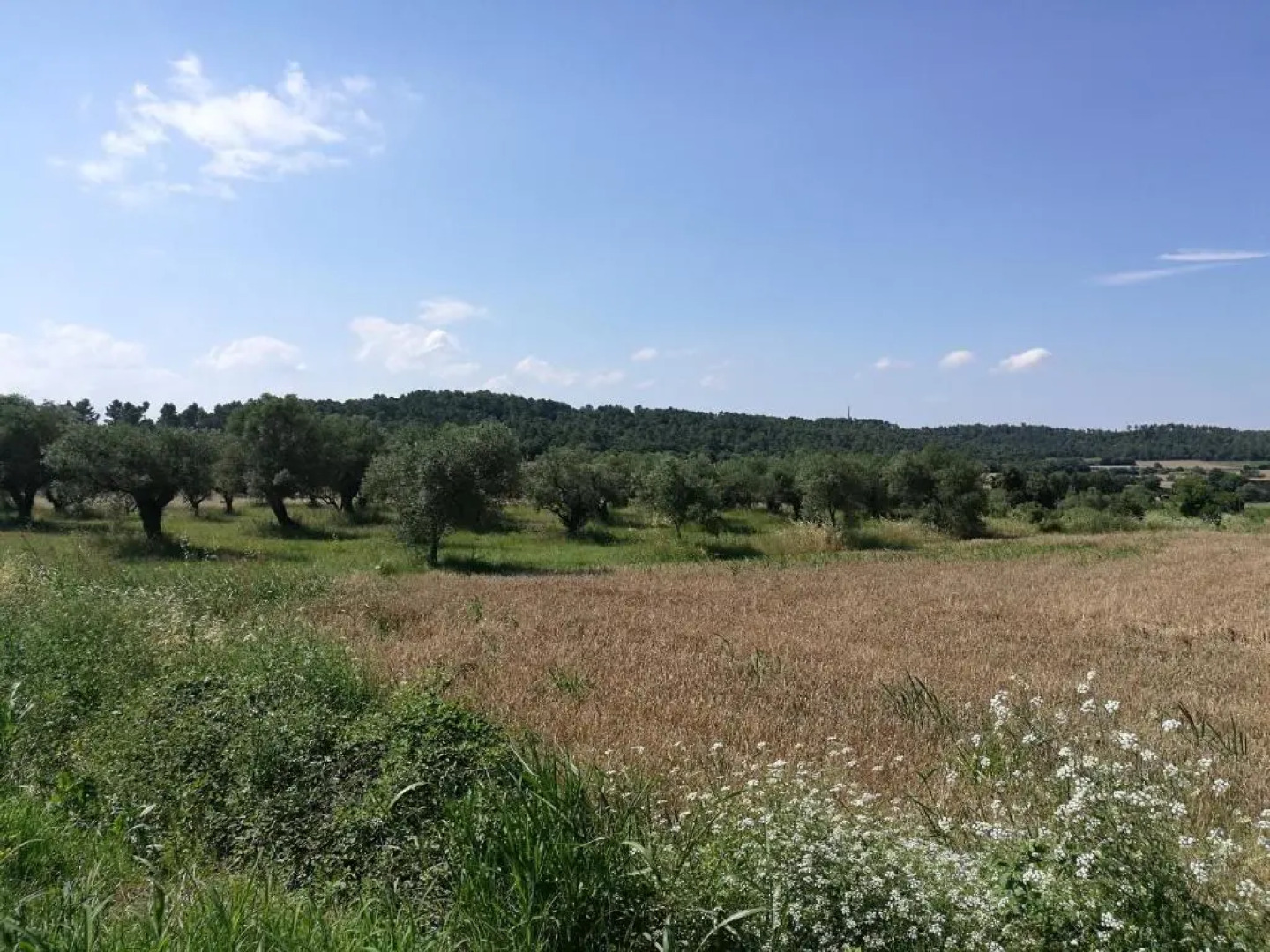 El Paller de Can Puig a la Pera 4/6 pax