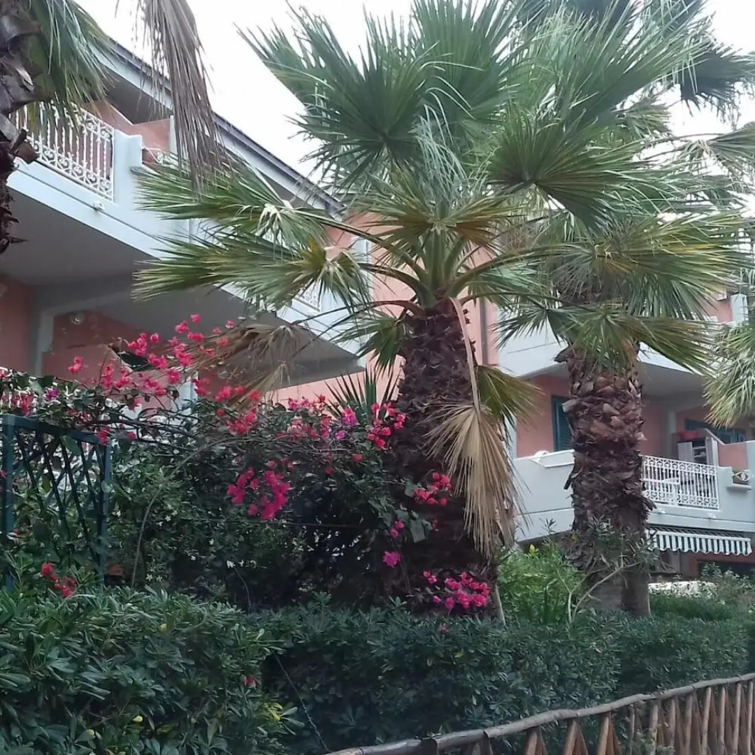 Seaside House in Rais Gerbi Residence