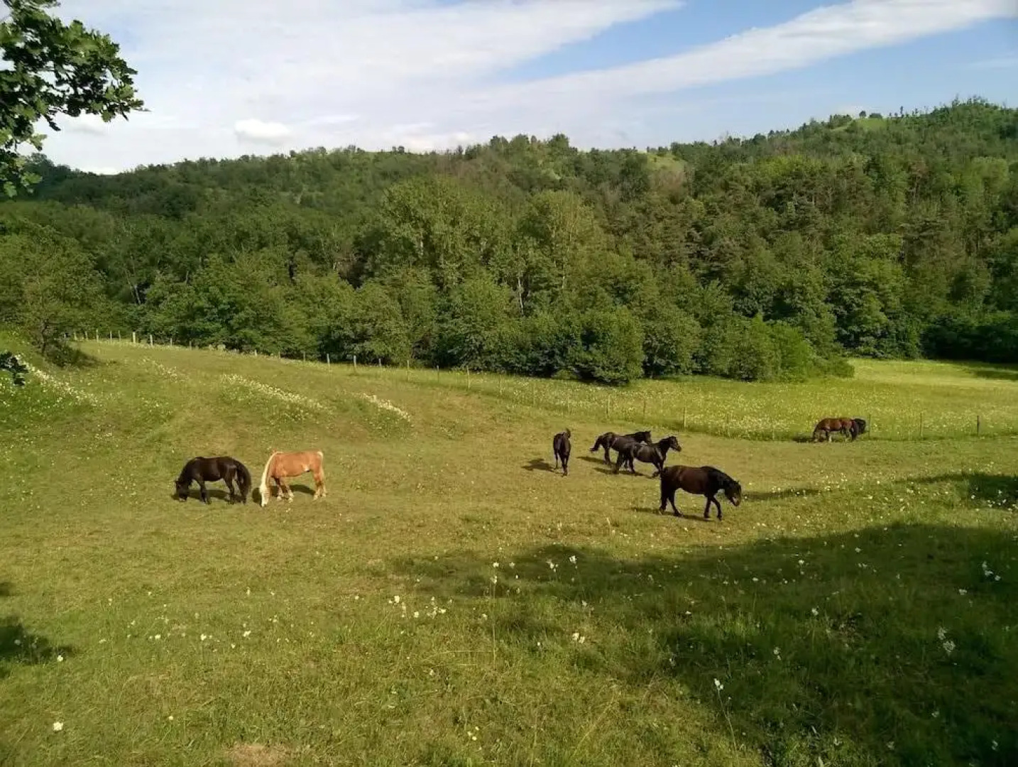 La Ratatouille Agriturismo