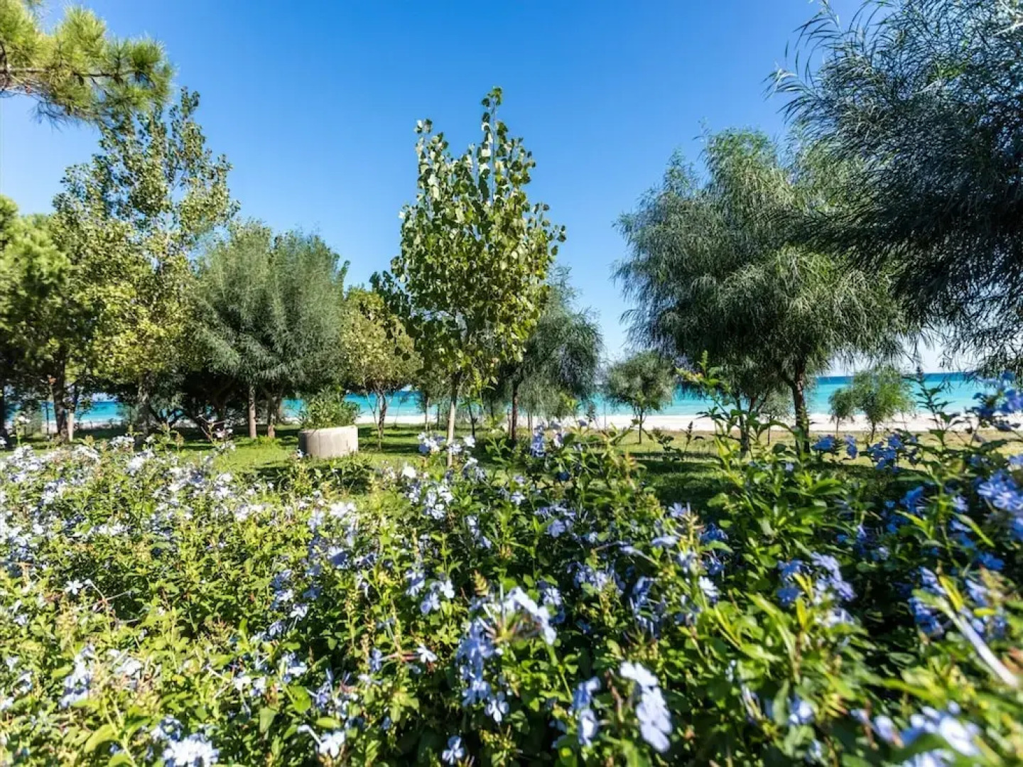 Romantic Beachfront Getaway