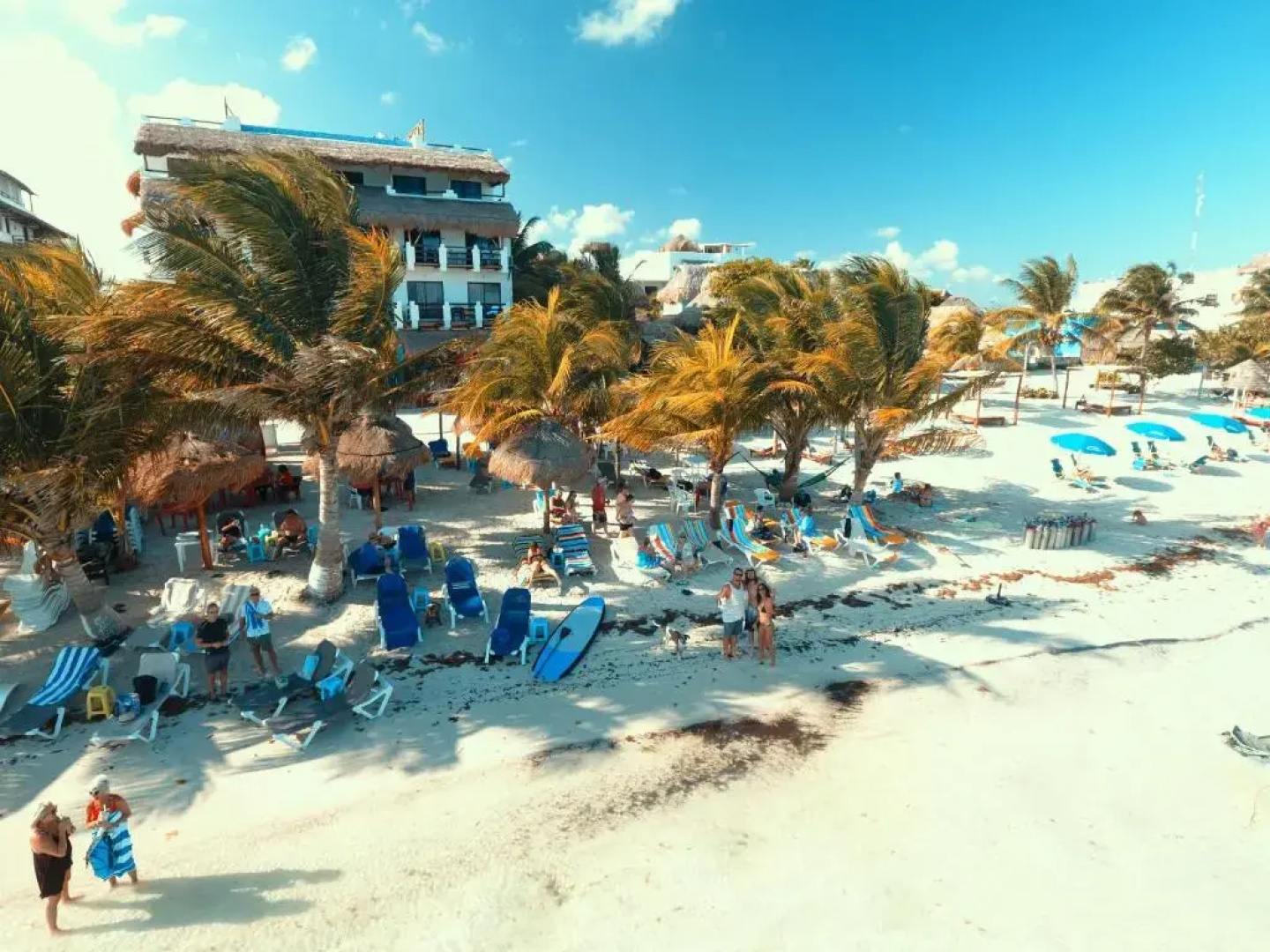 Hotel Blue reef con alberca & frente al mar