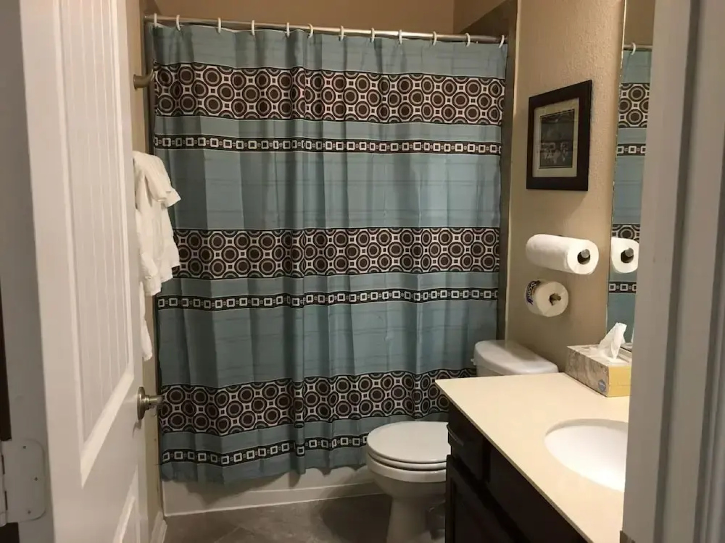 Brand New Home 4BR2B in West Houston