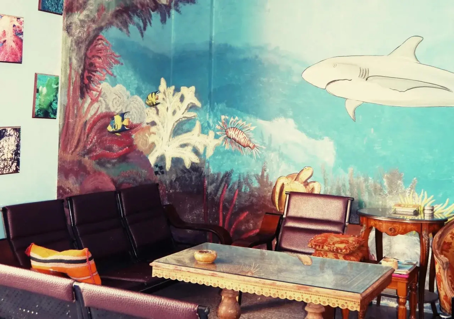 Aqaba Adventure Divers Village