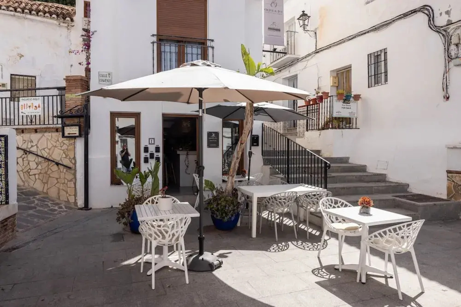 Olive & Ivy Guest House