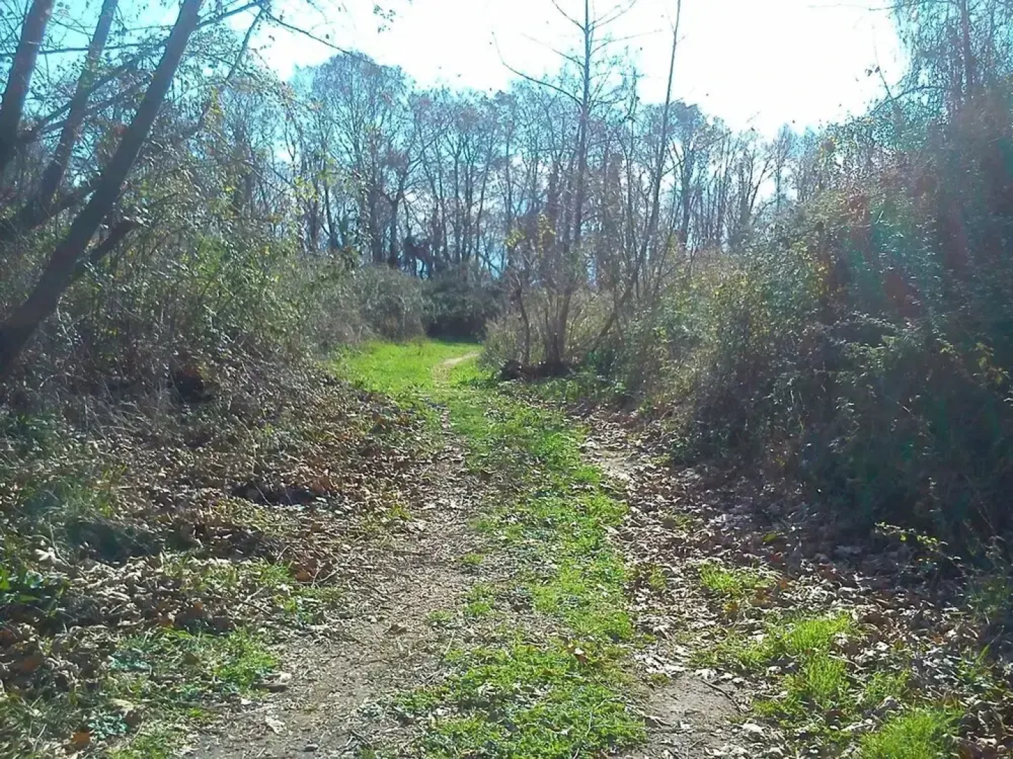 Yesil Bahce Bungalow - Ahsap Evler