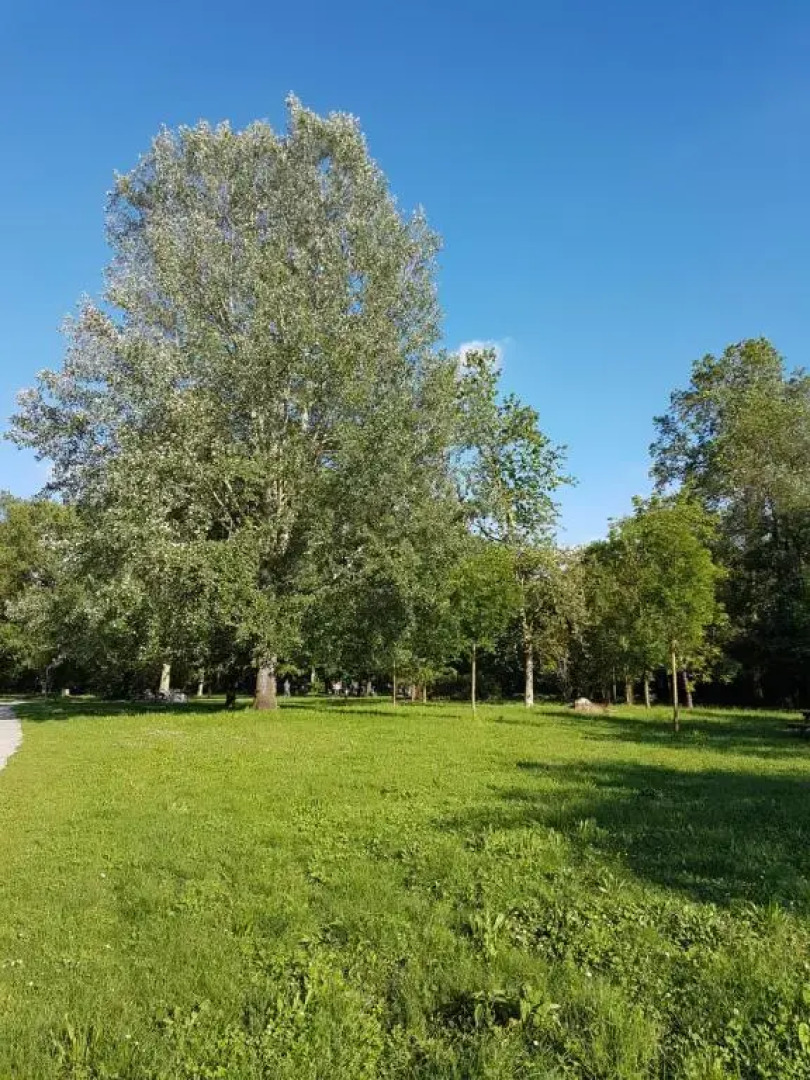 Monza Park apartment