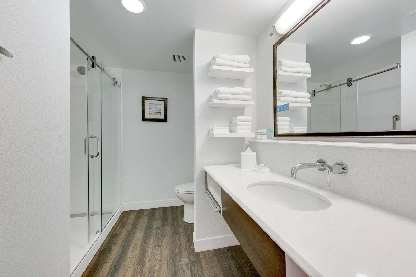 Hampton Inn & Suites North Houston Spring