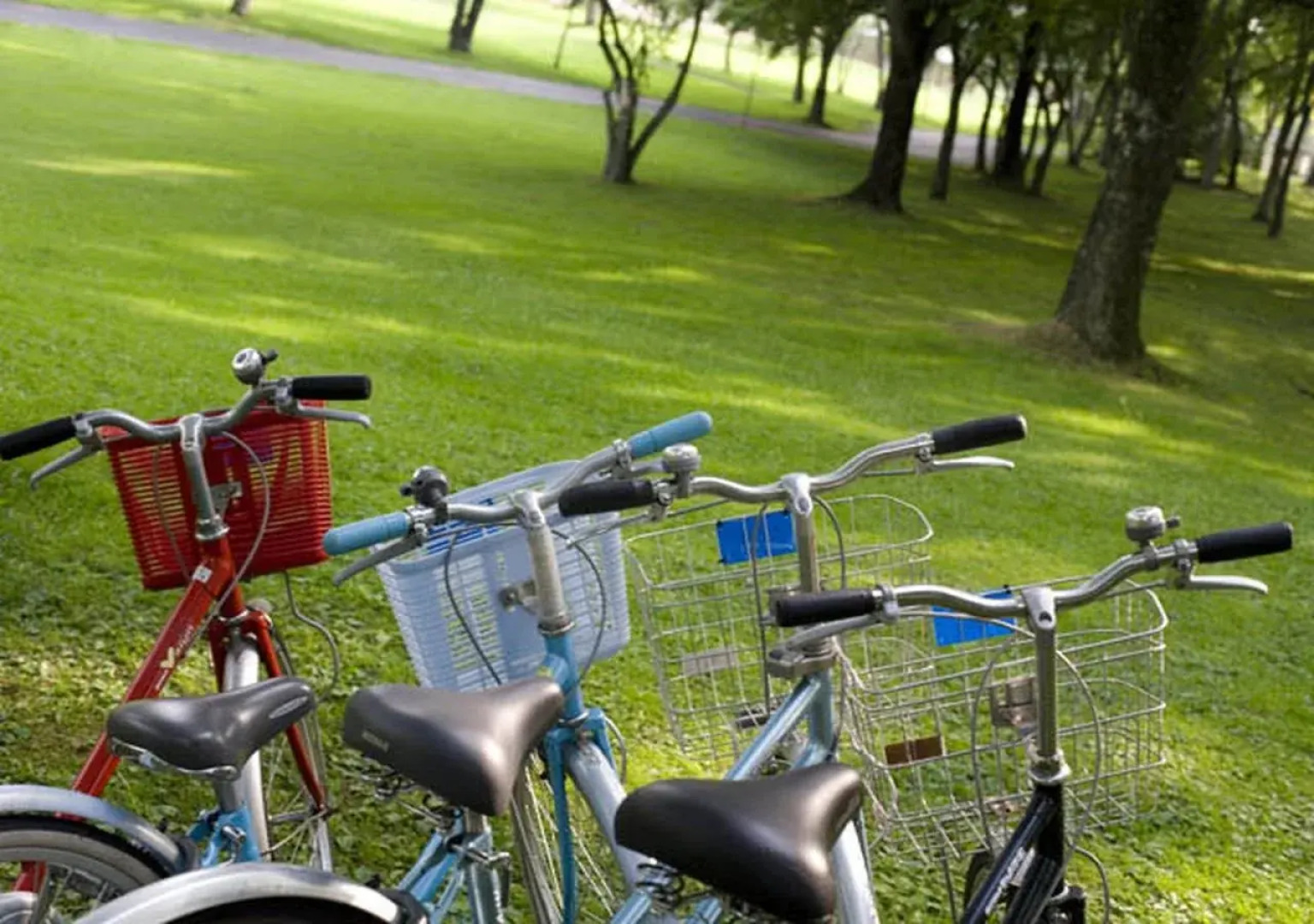 The Prince Villa Karuizawa