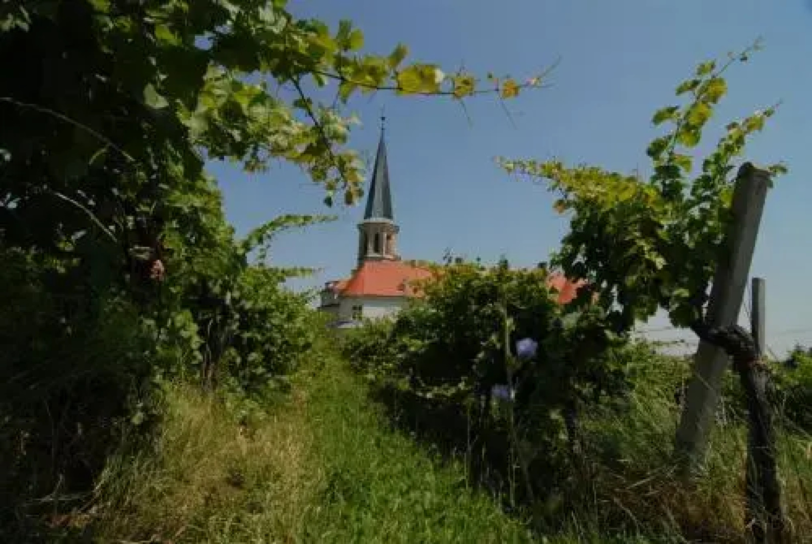 Winzerhotel Gumpoldskirchen