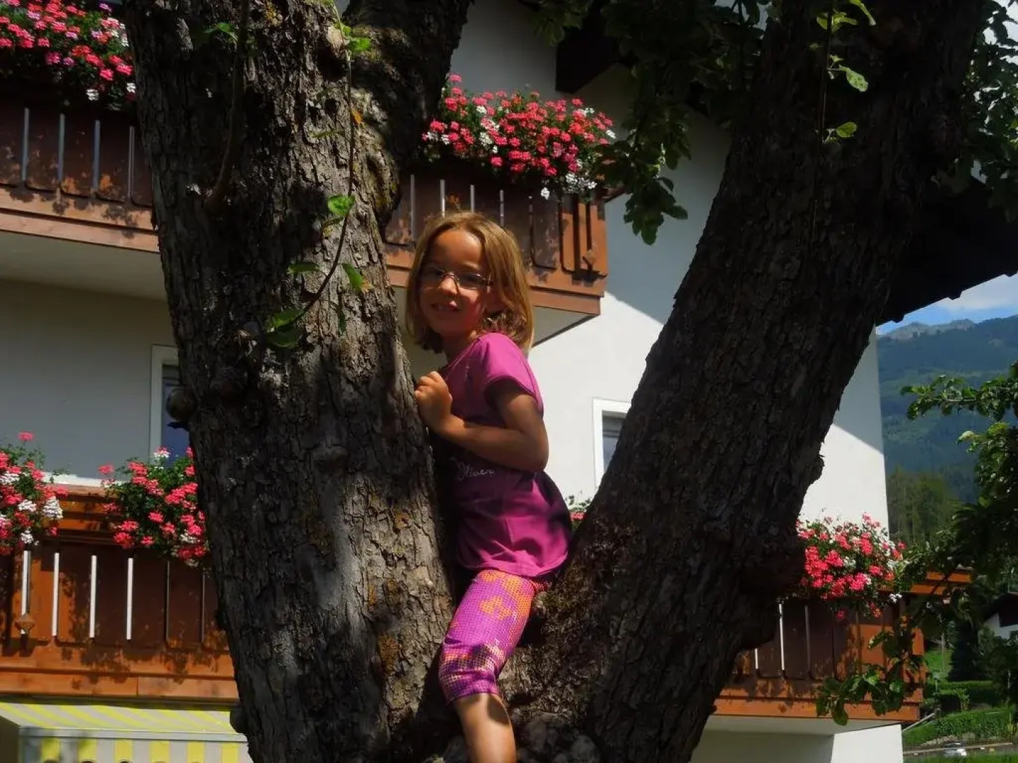 Albeinelerhof - Kinderbauernhof