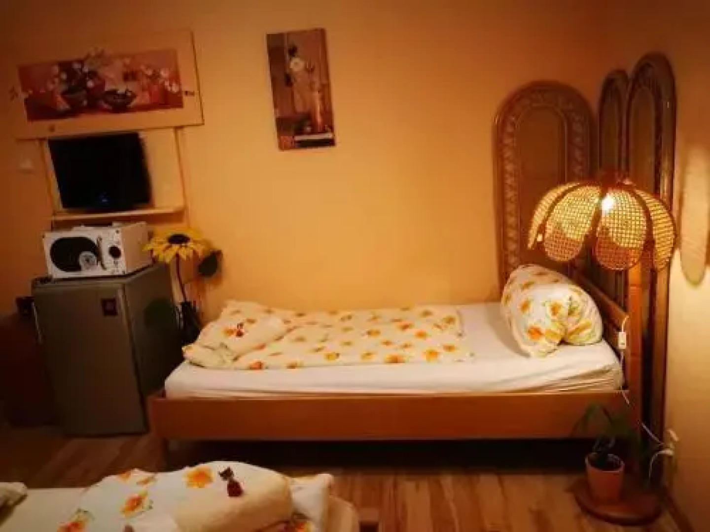 City apartman és camping