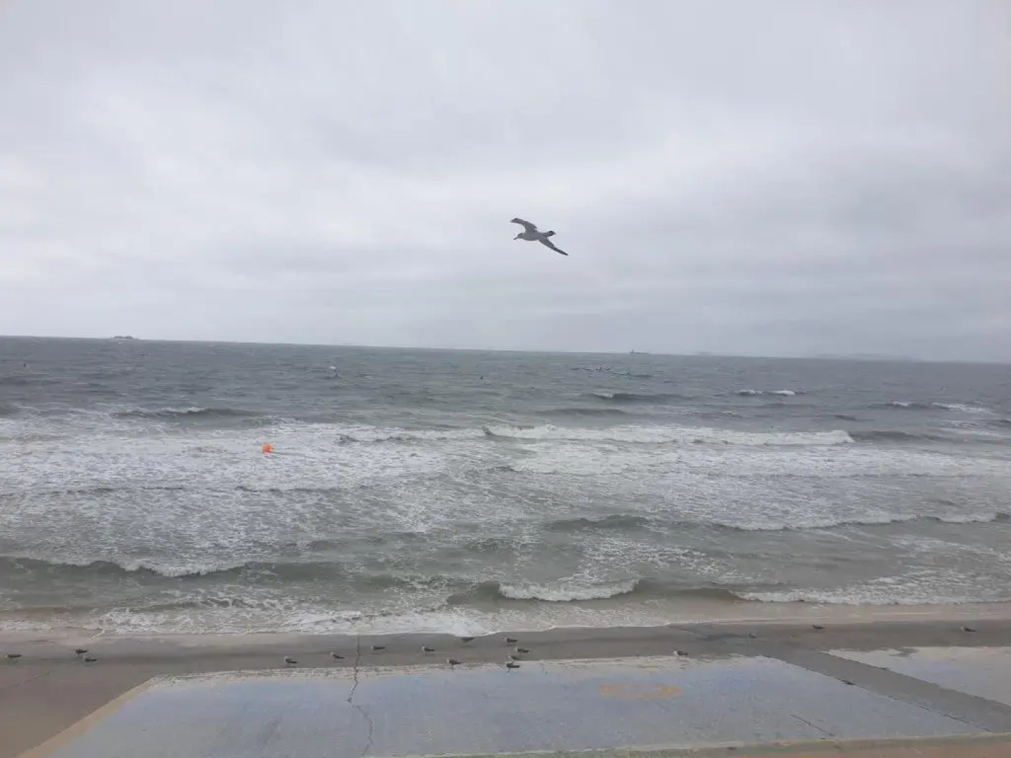 Daecheon Blue Whale Hill