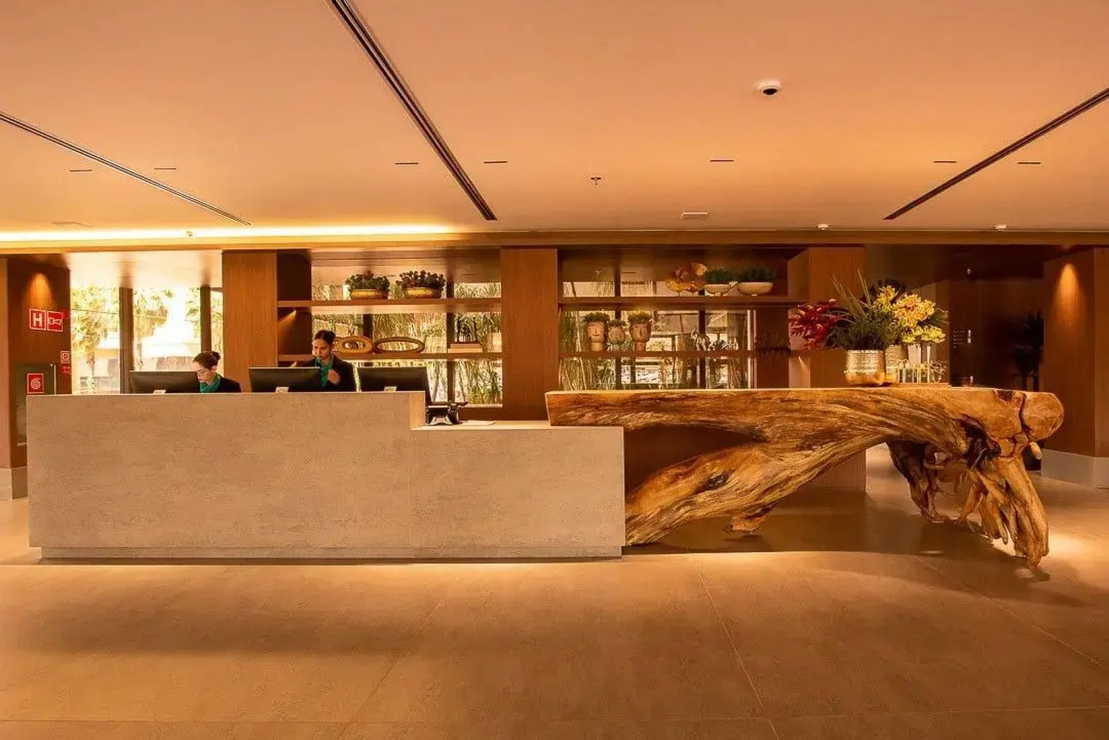 Amazon Aeroporto Hotel