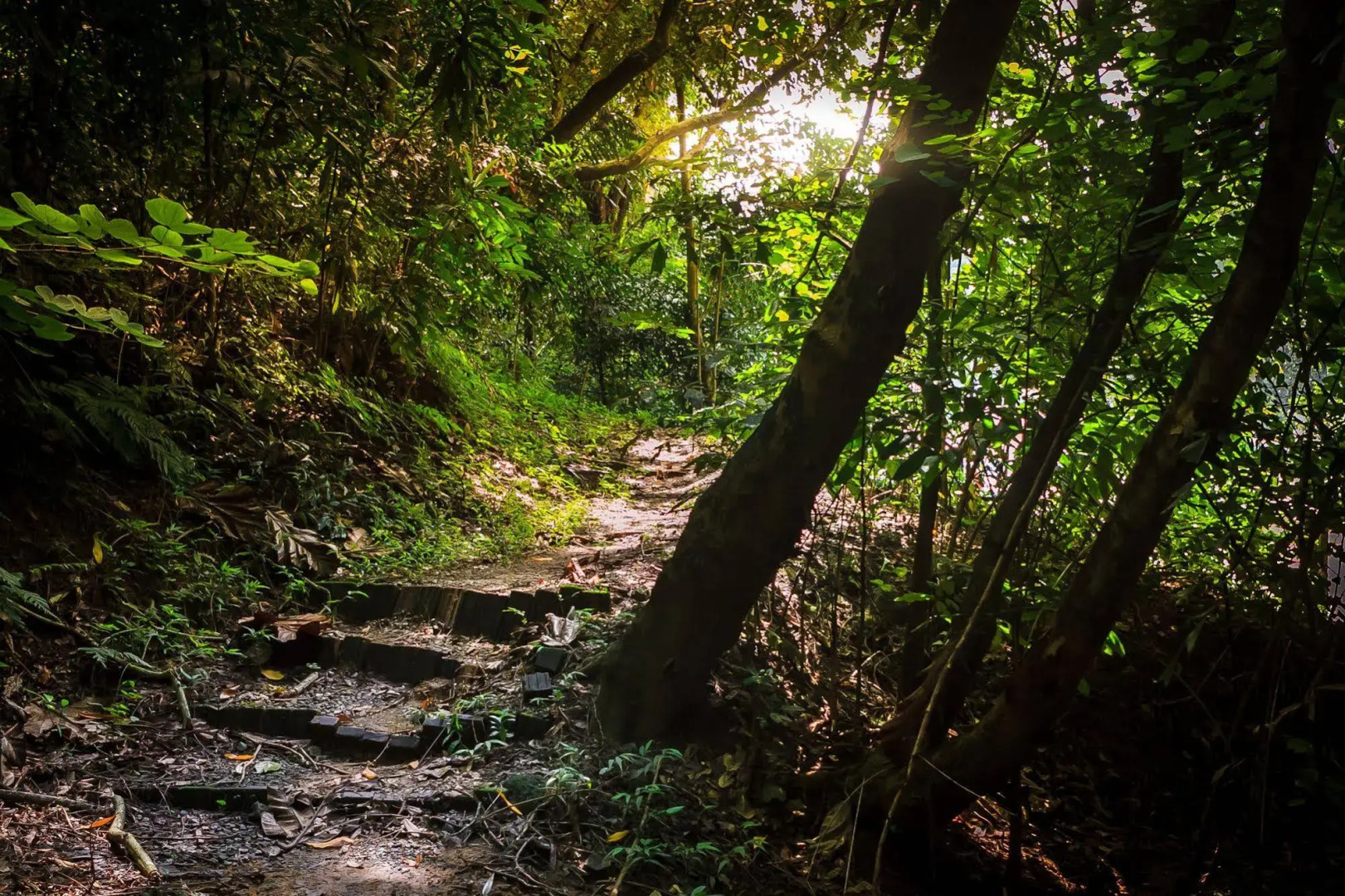 Eugenio Lopez Center