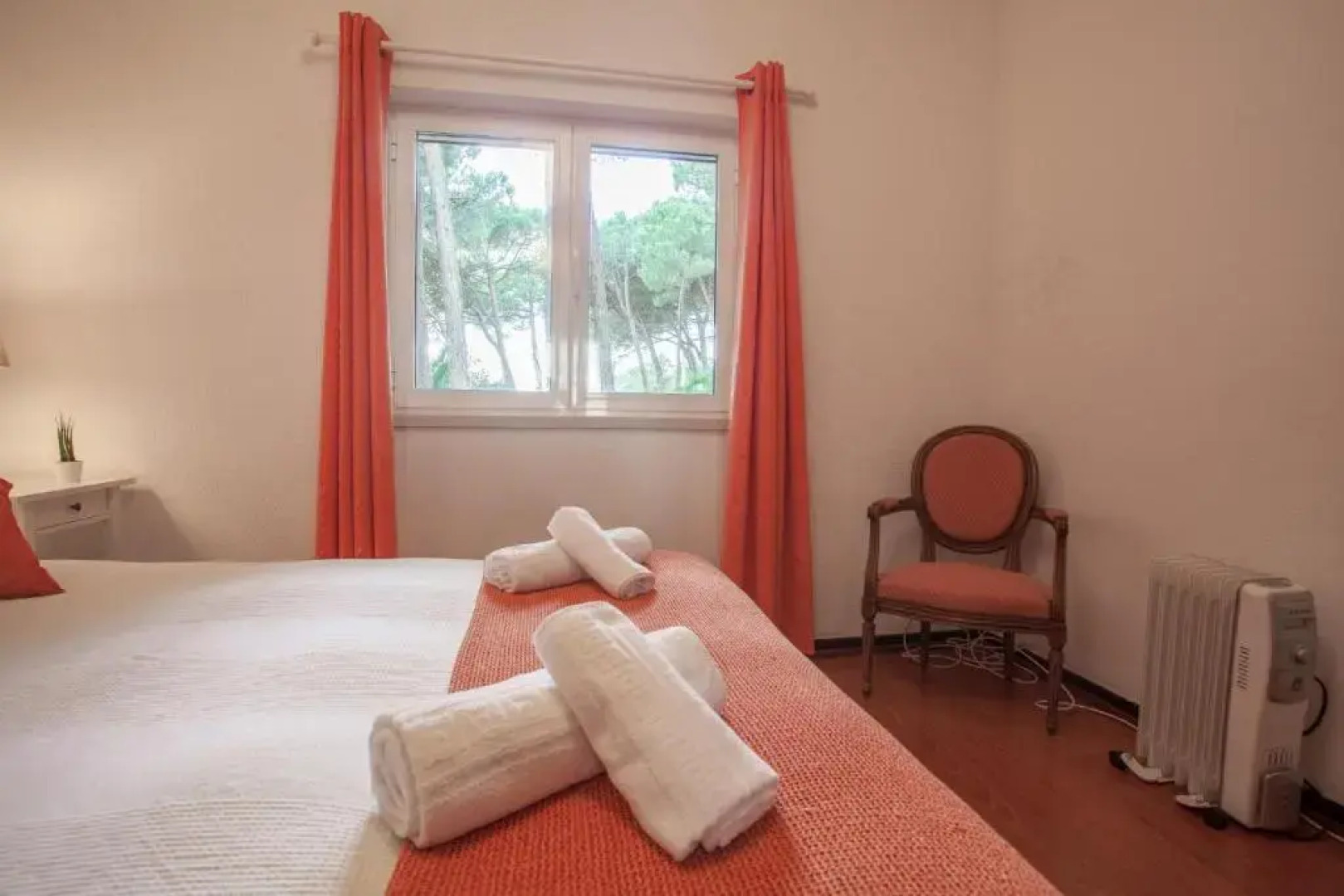 Ocean, Pines and Mountain