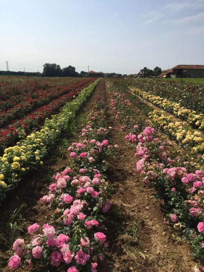 Relais Santo Stefano