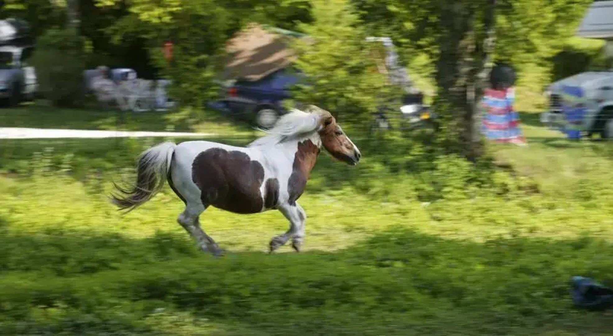 Gîtes la Forge de Sainte Marie