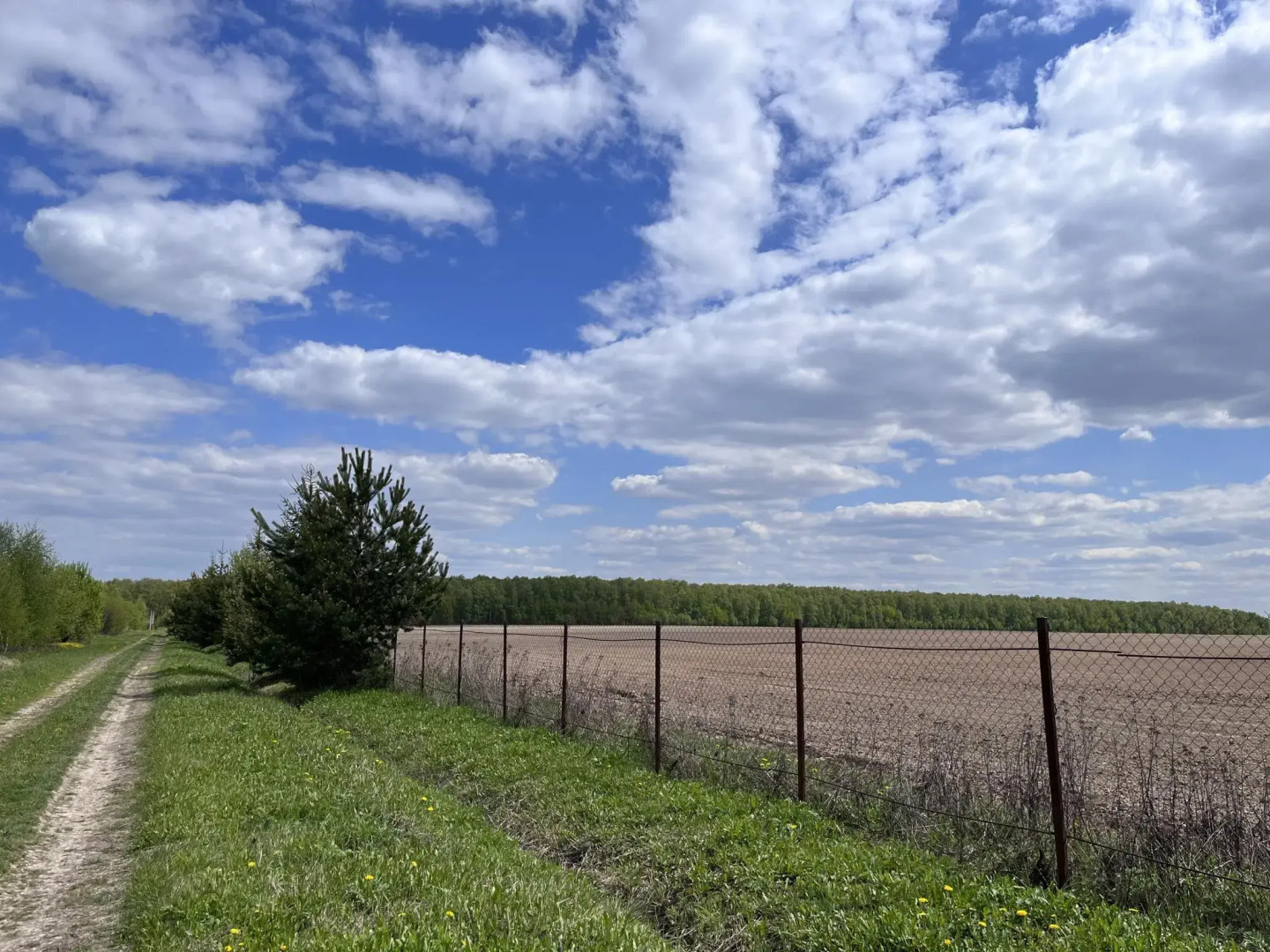 РETRUSНKА.Просторы (Петрушка)