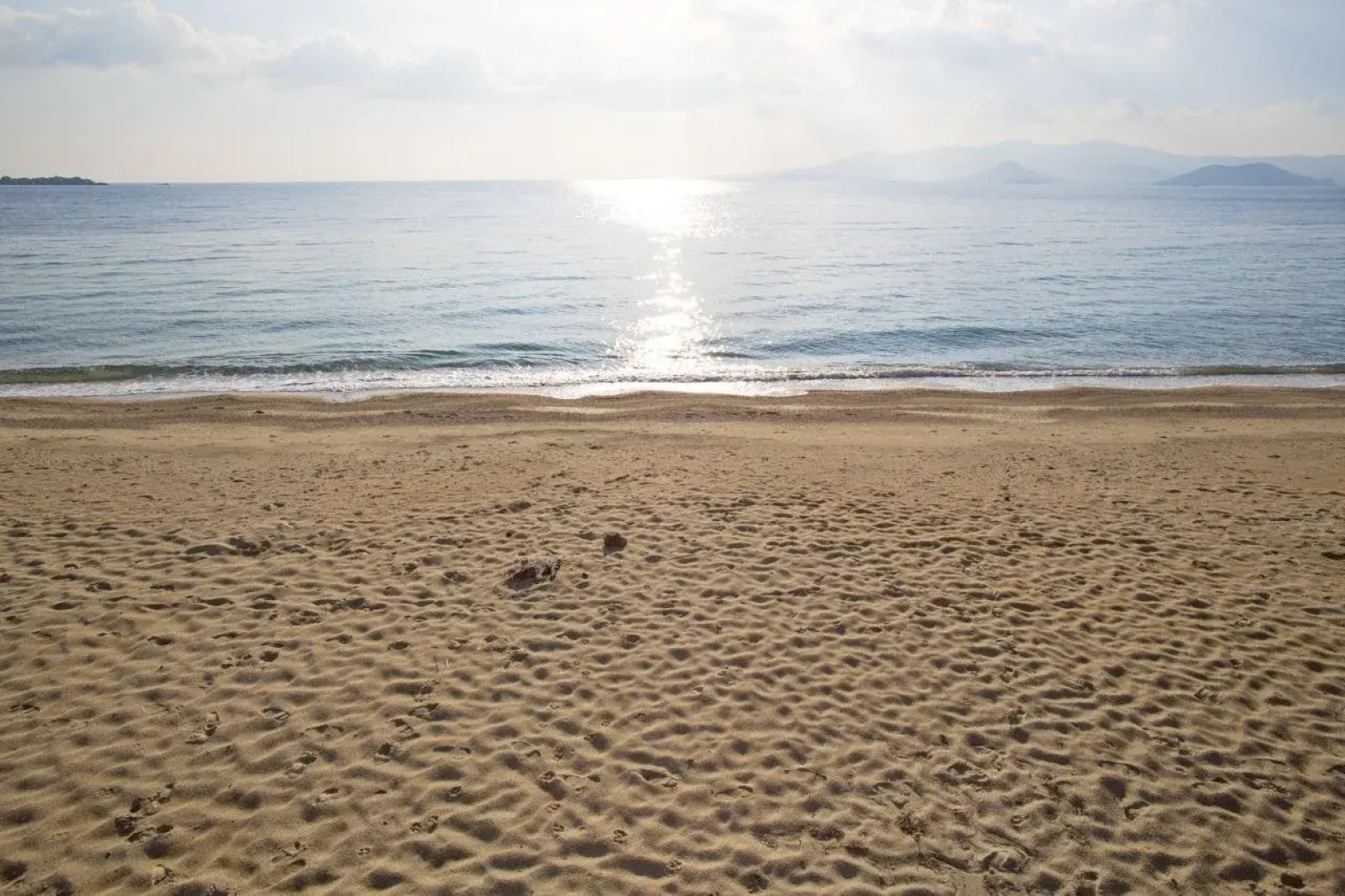 Marine Dream