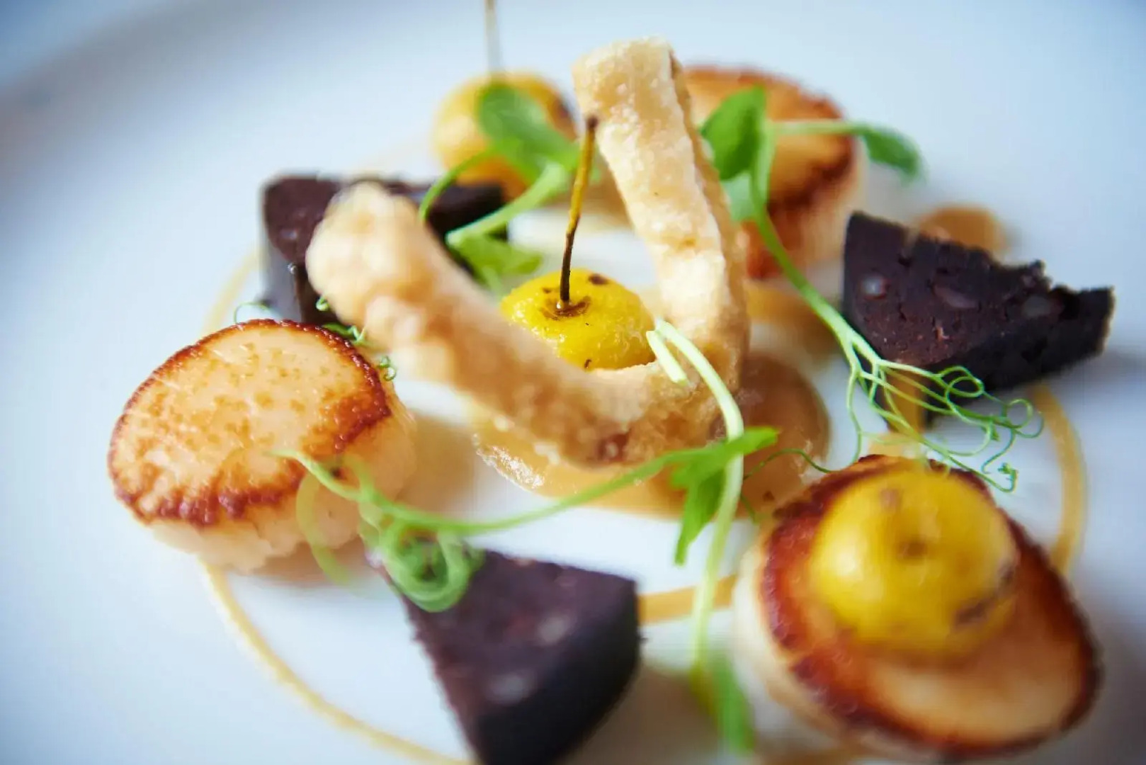 Buckland Tout Saints Hotel