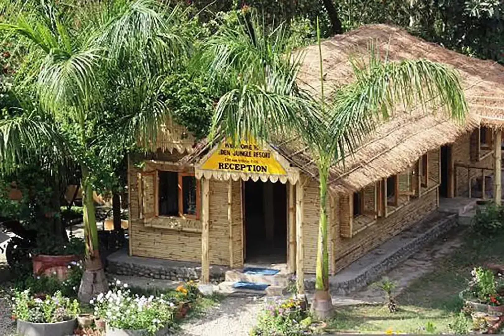 Island Jungle Resort