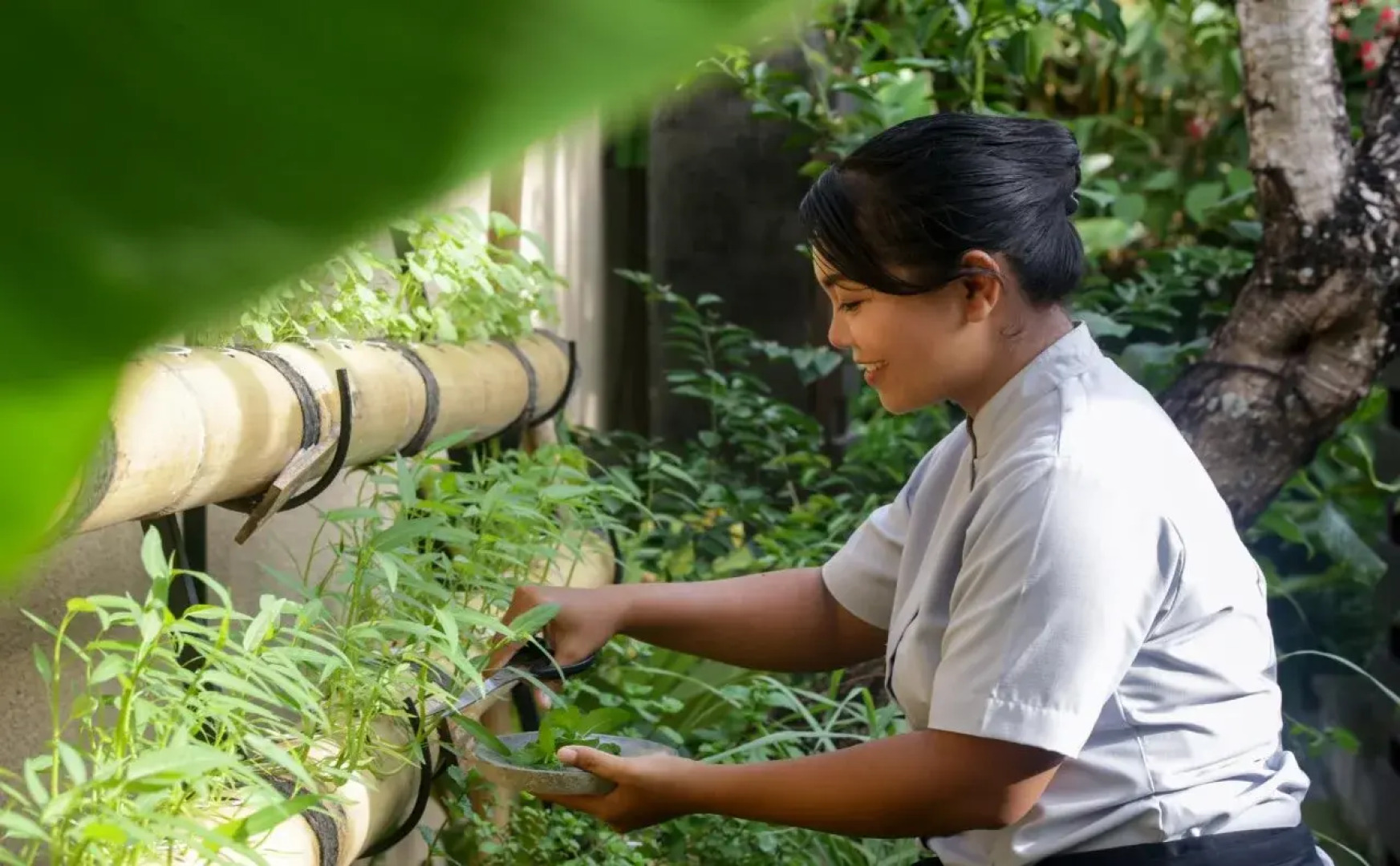 Villa Air Bali Boutique Resort