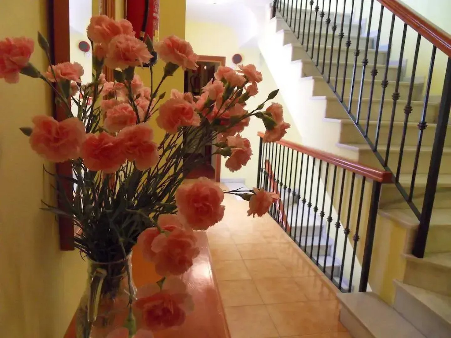 Hotel Marbella