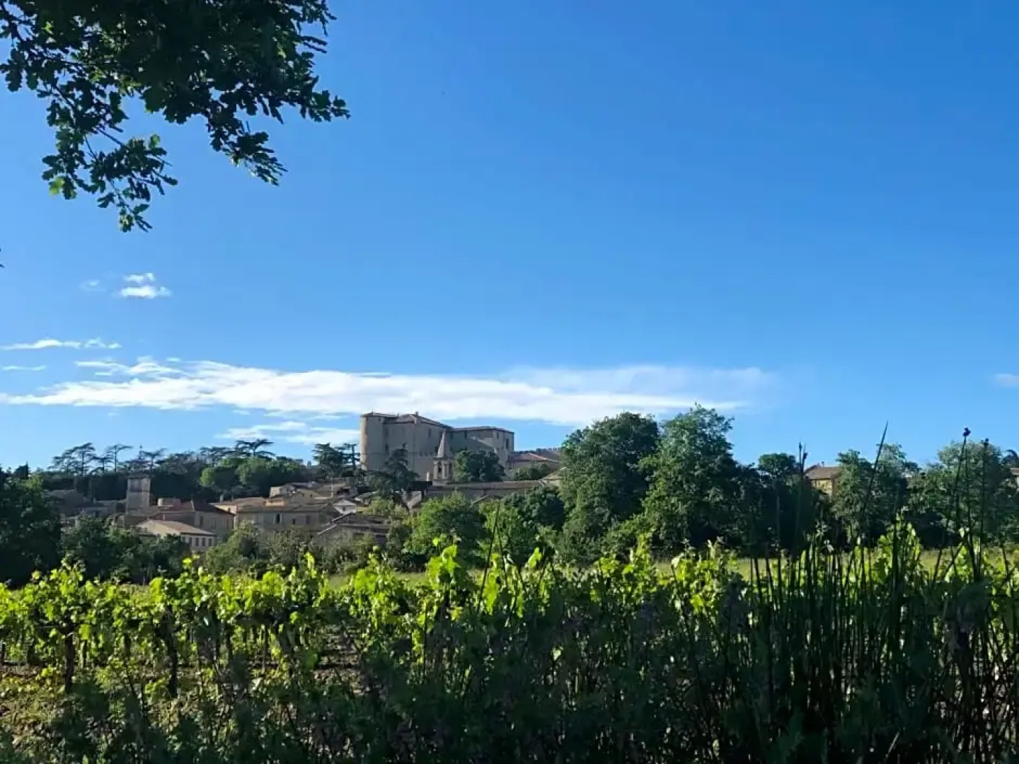 La Maison Blanche Uzès
