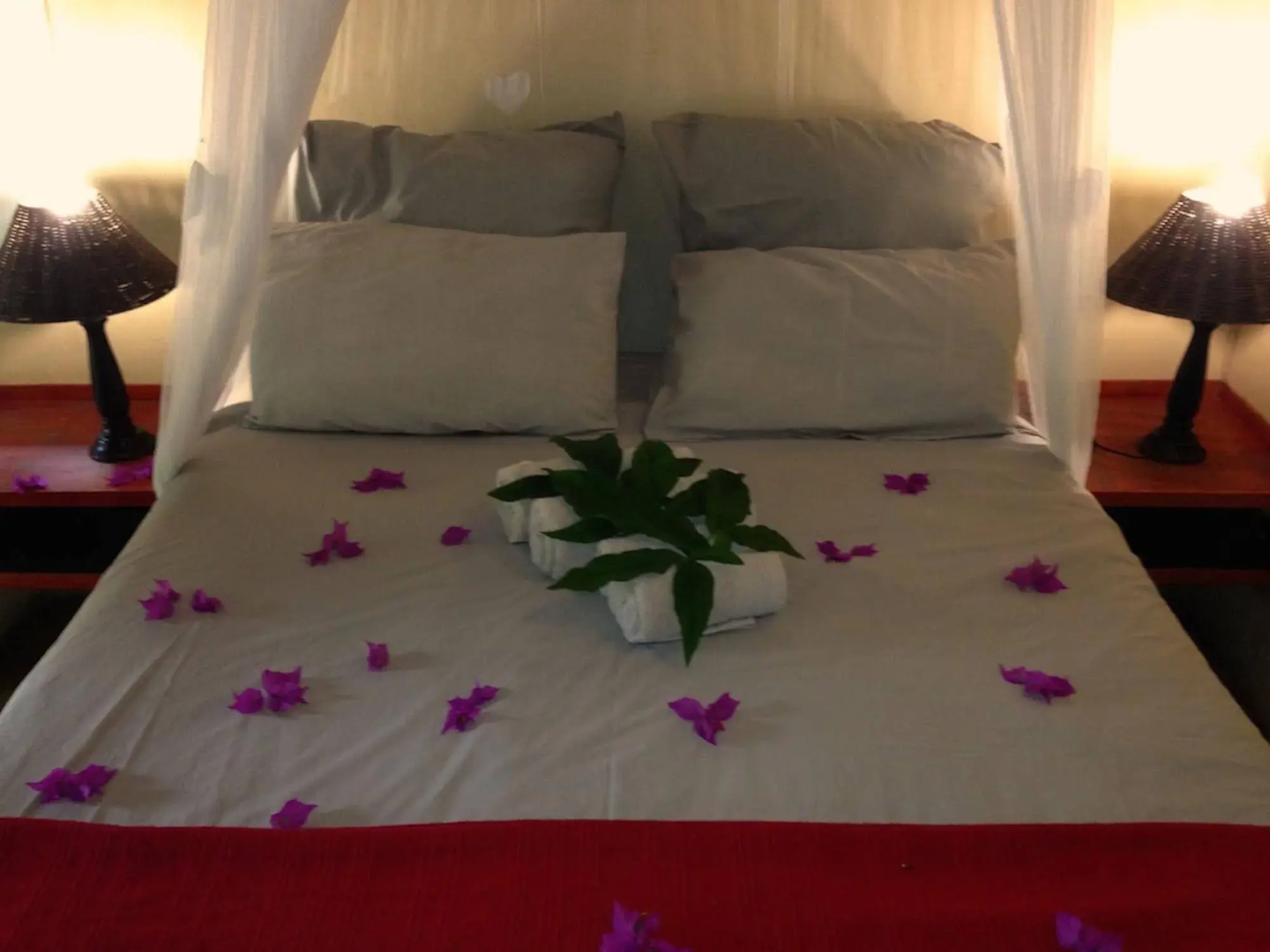 Wildebees Ecolodge