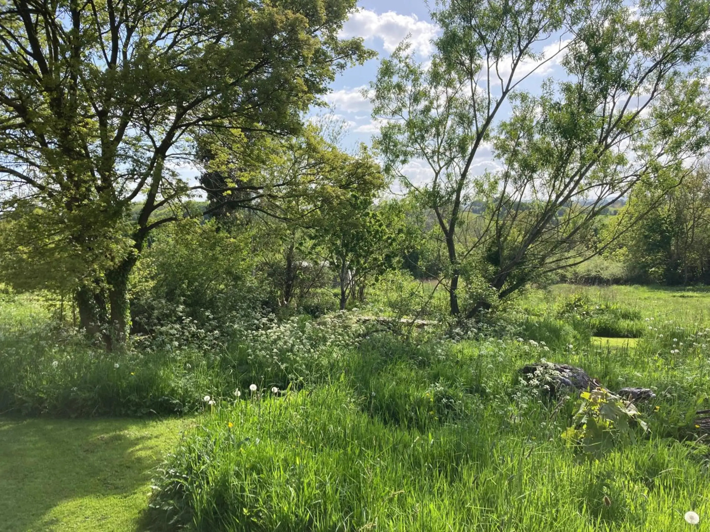 Little Pentre Barn with seasonal Swimming Pool