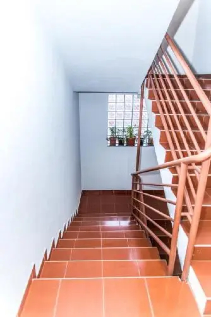 Apartment Roko