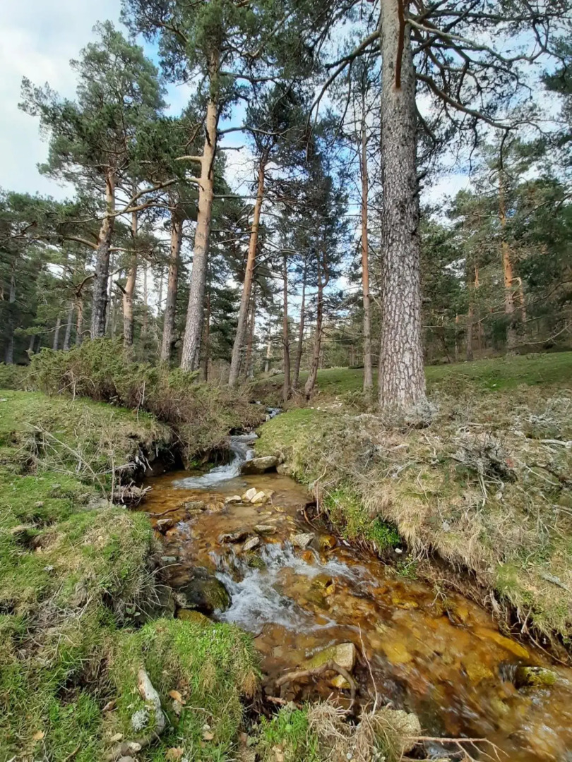 Apartamento con encanto Puerto de Navacerrada