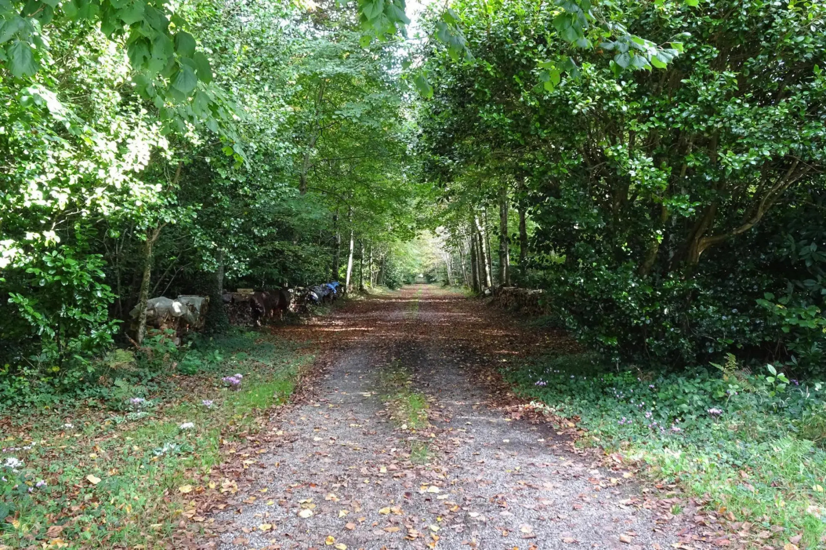 Semi-detached House in the Castle Park, Benodet