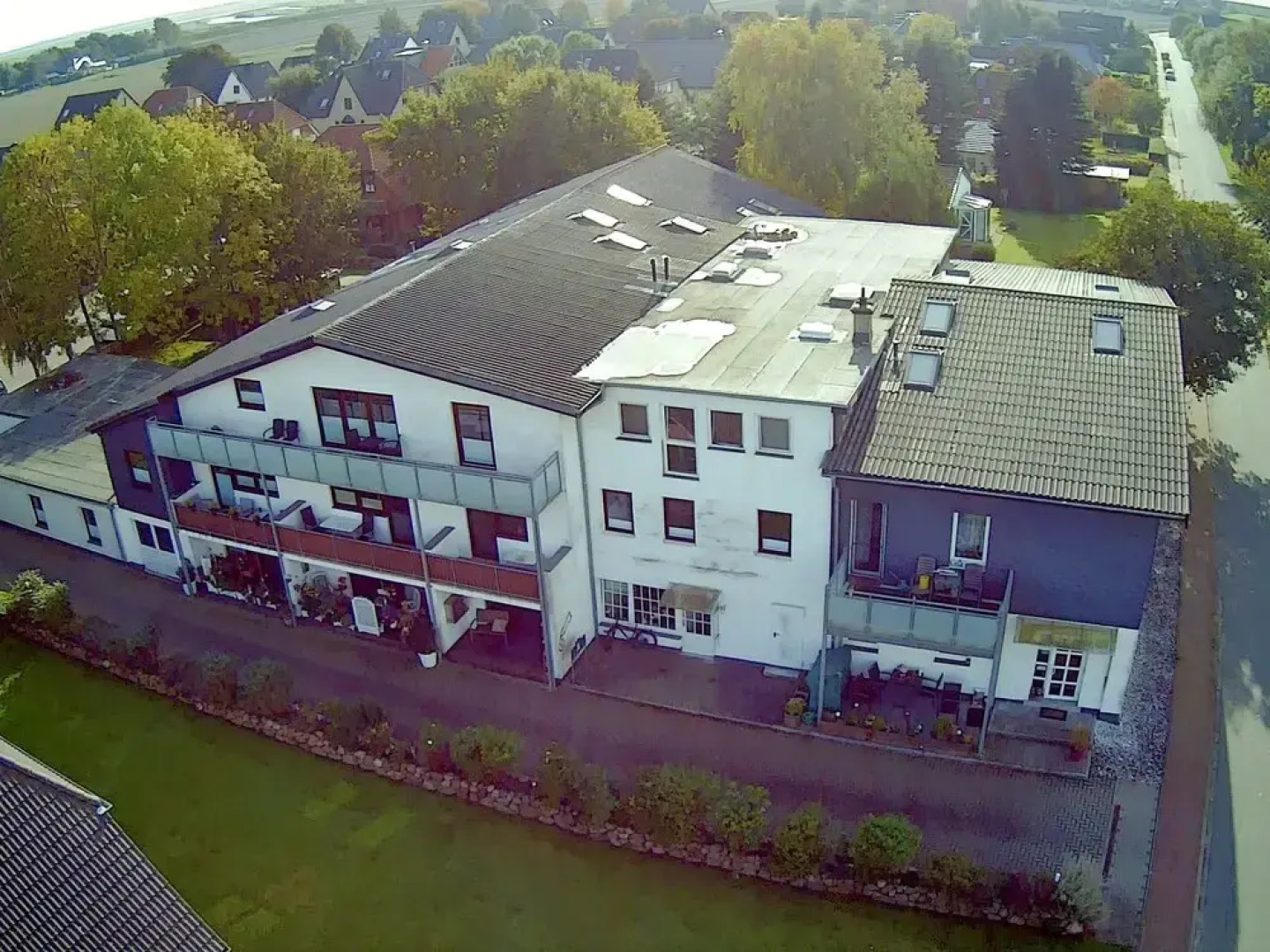 Seeschwalbe Warwerort